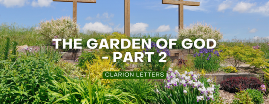 The Garden of God – Part 2